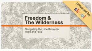 Launching Freedom School Online / Skool app.